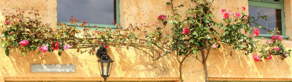 Le Clos Cosy Hotel Archignac Esterno foto